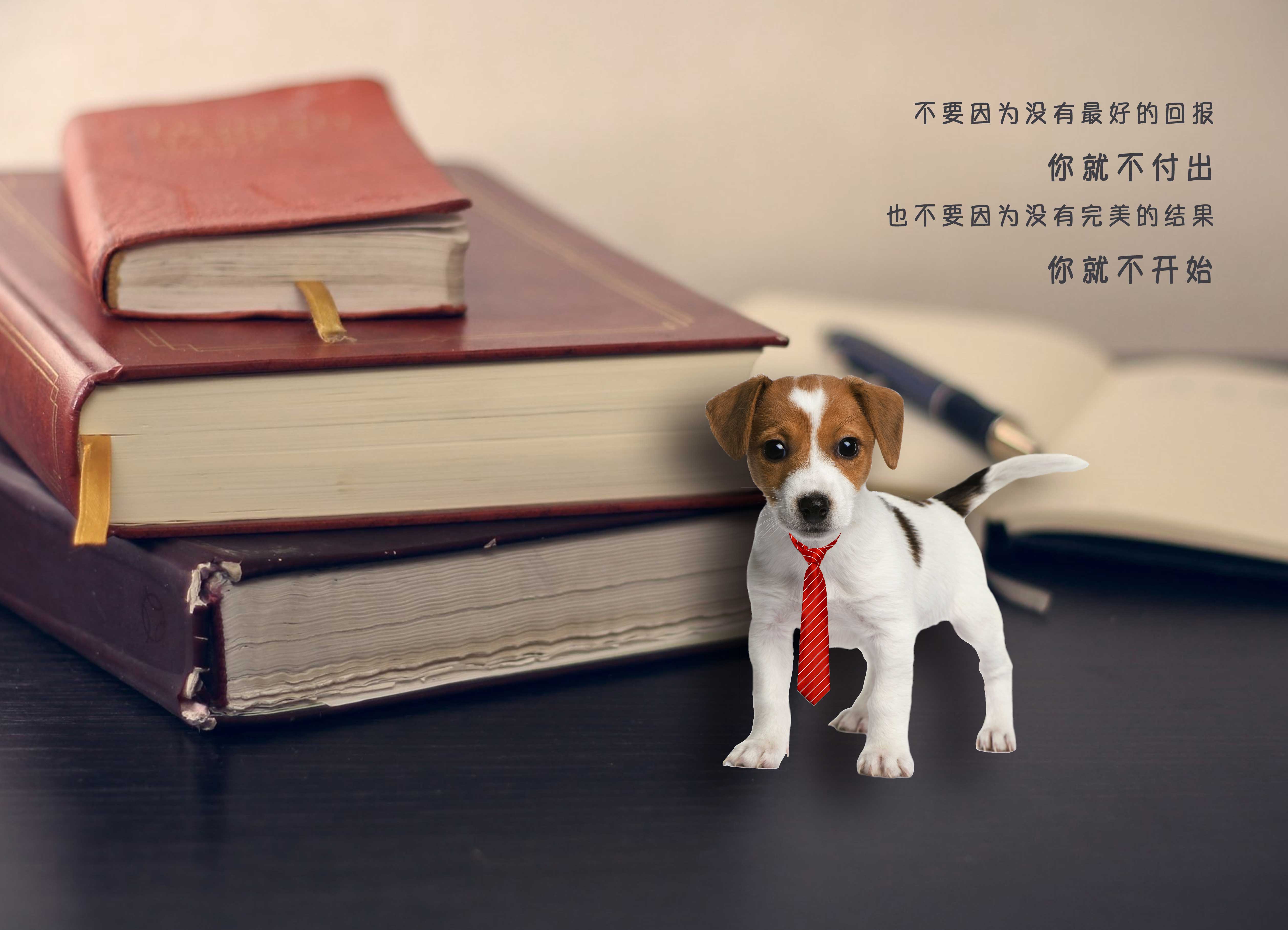 430k-500351432.jpg 430k-500351432.jpg